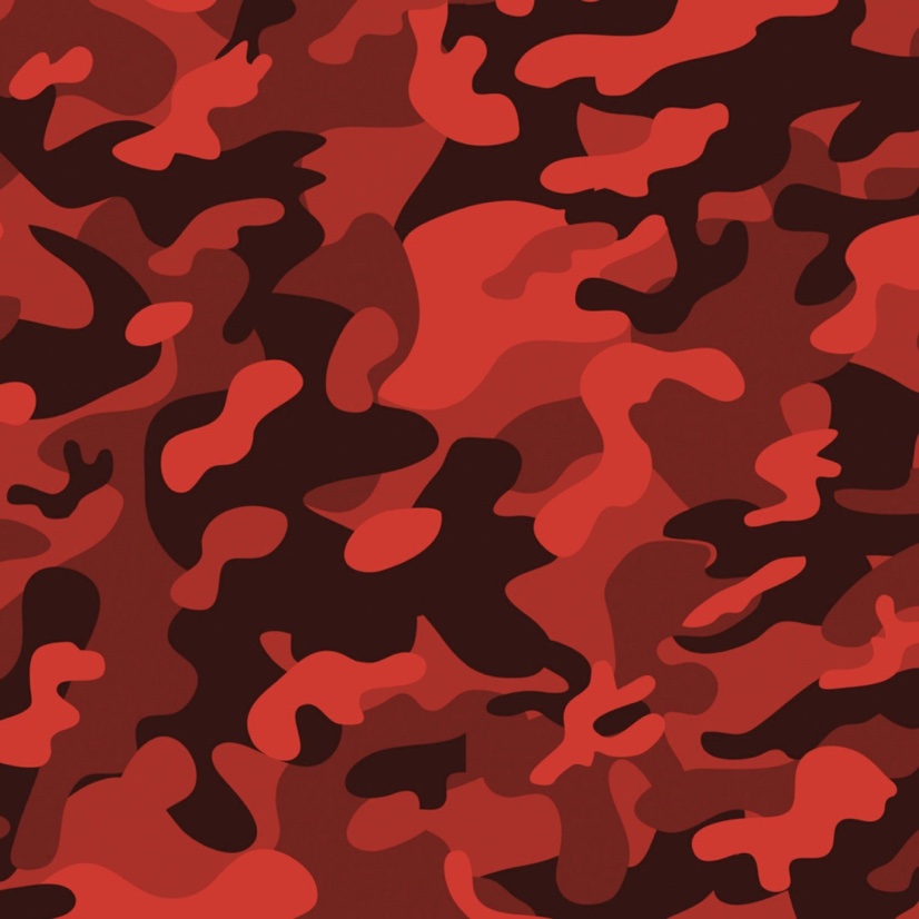 CashApp profile picture for @standish
