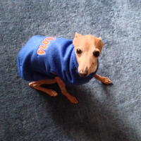 CashApp profile picture for @elisabeth