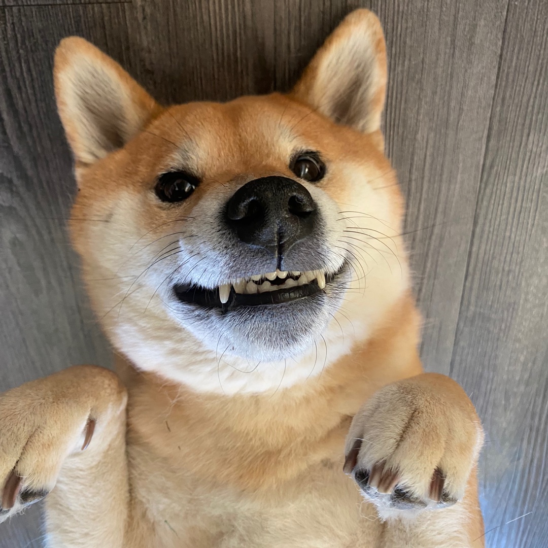 CashApp profile picture for @cos