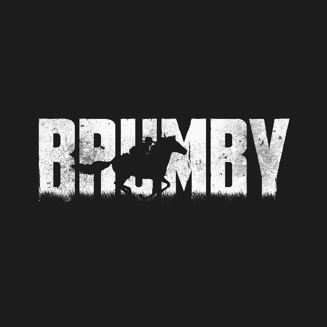 CashApp profile picture for @brumby