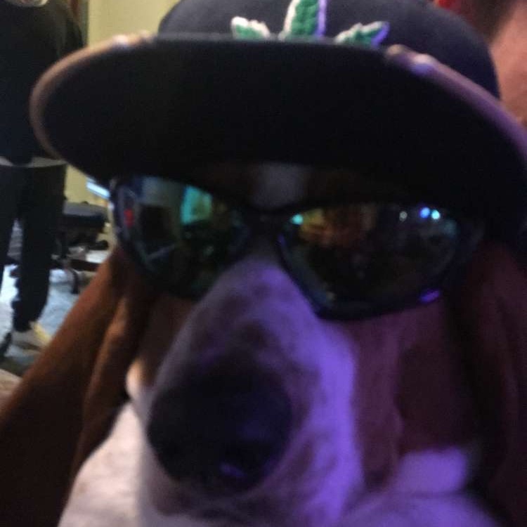 CashApp profile picture for @kremlin