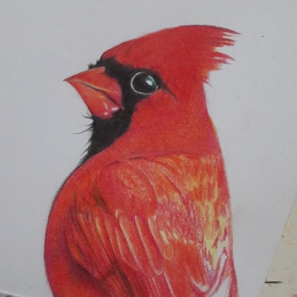 CashApp profile picture for @cardinal