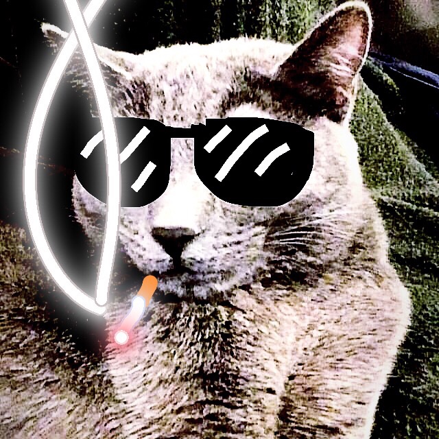 CashApp profile picture for @flats