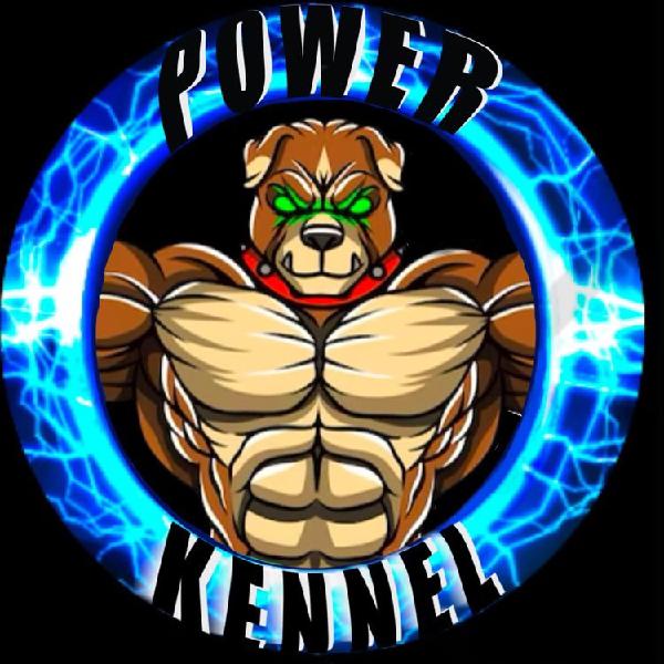 CashApp profile picture for @bleeder