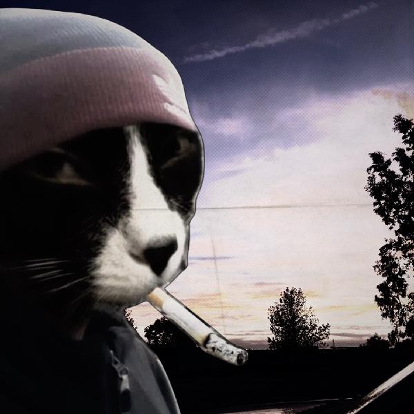 CashApp profile picture for @pyxlss